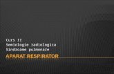 120043416 Curs Respirator 2 Patologie
