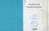 Anatomía Radiológica -Moller