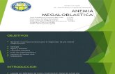 Anemia Megaloblastica f