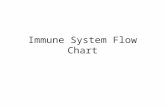 Immune System Flow Chart. Pathogen Disease causing agent 1.