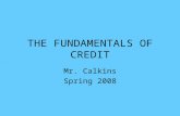 THE FUNDAMENTALS OF CREDIT Mr. Calkins Spring 2008.