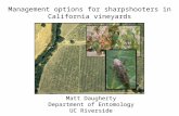 Management options for sharpshooters in California vineyards Matt Daugherty Department of Entomology UC Riverside.