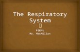 PSE4U Mr. MacMillan. The Conductive Zone Nose, pharynx, trachea, bronchi, bronchioles The Respiratory Zone Respiratory bronchioles, alveolar ducts, alveoli.