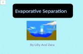By Lilly And Zara What is evaporation good for? Evaporation is good for separating Water from salt water Water from muddy water Water from mixtures Separating.