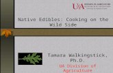Native Edibles: Cooking on the Wild Side Tamara Walkingstick, Ph.D. UA Division of Agriculture Arkansas Forest Resources Center.