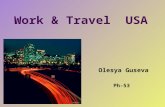 Work & Travel USA Olesya Guseva Ph-53. Contents  What is W&T USA?  Culture chock  Living and working in the USA  Traveling and going back.