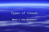 Types of Clouds What’s the Weather?. Cirrus, Cirrocumulus and Cirrostratus (high 5000-16,000 m)  thin and often wispy  composed of ice crystals.