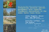 SANTA CLARA RIVER PARKWAY FLOODPLAIN RESTORATION FEASIBILITY STUDY Integrating invasive species management with riparian-floodplain restoration in the.