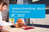 Understanding Business Structures. Types of Business Structure Sole Trader Partnership Limited Companies Co-operatives Franchises.