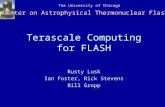 The University of Chicago Center on Astrophysical Thermonuclear Flashes Terascale Computing for FLASH Rusty Lusk Ian Foster, Rick Stevens Bill Gropp.