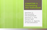 HOLT, RINEHART AND WINSTON CHAPTER 5 Socializing the Individual Section 1: Personality Development Section 2: The Social Self Section 3: Agents of Socialization.