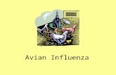Avian Influenza. Covered Topics What is avian influenza? Avian influenza and humans Symptoms of avian influenza Avian influenza treatment Avian influenza