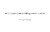 Prostate cancer diagnosis today Mungai Ngugi. Introduction Prostate cancer remains a major problem in the world and particularly in black people who have.