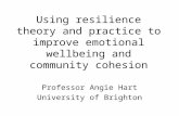 Using resilience theory and practice to improve emotional wellbeing and community cohesion Professor Angie Hart University of Brighton.