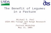 The Benefit of Legumes in a Pasture Michael D. Peel USDA-ARS Forage and Range Research Lab. Pasture Workshop May 13, 2005.