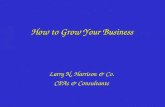 How to Grow Your Business Larry N. Harrison & Co. CPAs & Consultants Larry N. Harrison & Co. CPAs & Consultants.