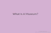 What Is A Museum? The Louisiana State Museum