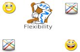Flexibility. What is FLEXIBILITY? fleksəˈbilədē/ Part of Speech: noun Definition: 1. easily bent; not stiff; bending without breaking 2. easily adapted.