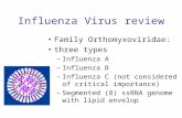 Influenza Virus review Family Orthomyxoviridae: three types –Influenza A –Influenza B –Influenza C (not considered of critical importance) –Segmented (8)