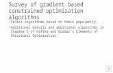 Survey of gradient based constrained optimization algorithms Select algorithms based on their popularity. Additional details and additional algorithms.