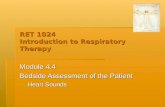 RET 1024 Introduction to Respiratory Therapy Module 4.4 Bedside Assessment of the Patient — Heart Sounds.