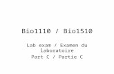 Bio1110 / Bio1510 Lab exam / Examen du laboratoire Part C / Partie C.