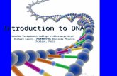Introduction to DNA Lecture notes edited by John Reif from PPT lectures by: Image from ://zen-haven.dk Natalia Tretyakova, College.