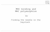 MHC binding and MHC polymorphism Or Finding the needle in the haystack.