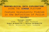 SEMANA MORPHOLOGICAL DATA EXPLORATION USING THE SEMANA PLATFORM Feature Granularity Problem in the Definition of Polish Gender Georges SAUVET UTAH - CREAP,