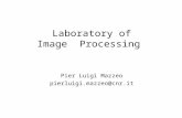 Laboratory of Image Processing Pier Luigi Mazzeo pierluigi.mazzeo@cnr.it.