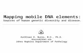 Mapping mobile DNA elements: Sources of human genetic diversity and disease. Kathleen H. Burns, M.D., Ph.D. kburns@jhhmi.edu Johns Hopkins Department of.