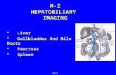 M-2 HEPATOBILIARY IMAGING  Liver  Gallbladder And Bile Ducts  Pancreas  Spleen 2013.