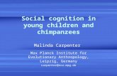 Social cognition in young children and chimpanzees Malinda Carpenter Max Planck Institute for Evolutionary Anthropology, Leipzig, Germany carpenter@eva.mpg.de.