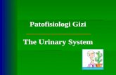 Patofisiologi Gizi The Urinary System. Pokok Bahasan  Sistem Urinarius  Gangguan Ginjal Dan Saluran Kemih.