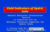 NRCS/WLI/2000 M. Whited Field Indicators of Hydric Soils Natural Resources Conservation Service in cooperation with the National Technical Committee for.