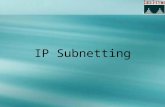 IP Subnetting. IP Addressing Introduction IPv4 addresses are 32 bits in length. IPv4 broken into four bytes (called octets), with a dot between each byte.