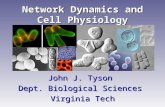 Network Dynamics and Cell Physiology John J. Tyson Dept. Biological Sciences Virginia Tech.
