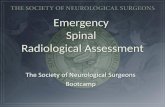 Emergency Spinal Radiological Assessment. spine injury: location type neurologic sequelae 1. cervical...... brainstem, cord or root 2. thoracic..... cord.