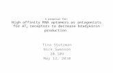 A proposal for: High affinity RNA aptamers as antagonists for AT 2 receptors to decrease bradykinin production Tina Stutzman Nick Swenson 20.109 May 12,