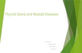 Thyroid Gland and Related Diseases Presented by Idelina Almanzar Johanna Barcia Hilary Pena.