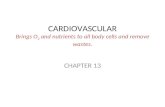 CARDIOVASCULAR Brings O 2 and nutrients to all body cells and remove wastes. CHAPTER 13.