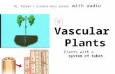 2010 Plants with a system of tubes Vascular Plants Mr. Harper’s science mini lesson with audio.