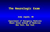 The Neurologic Exam Andy Jagoda, MD Department of Emergency Medicine Mount Sinai School of Medicine New York, New York.