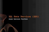 SQL Data Services (SDS) Azure Services Platform.