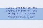 Viral avoidance and exploitation of the ubiquitin system Felix Randow and Paul J. Lehner NATURE CELL BIOLOGY May 2009.