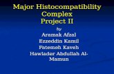 Major Histocompatibility Complex Project II by Aramak Afzal Ezzeddin Kamil Fatemeh Kaveh Hawlader Abdullah Al-Mamun.