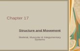 Chapter 17 Structure and Movement Skeletal, Muscular & Integumentary Systems.