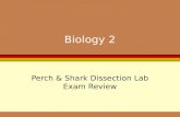 Biology 2 Perch & Shark Dissection Lab Exam Review.
