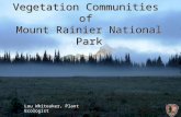 Vegetation Communities of Mount Rainier National Park Lou Whiteaker, Plant Ecologist.