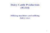1 Dairy Cattle Production (95314) Milking machines and milking dairy cows.